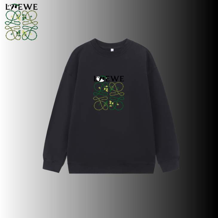 Picture of Loewe  Sweatshirt _SKULoeweS-2XLxetr12333628